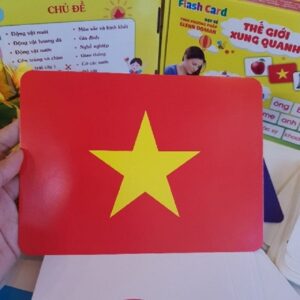 Bộ 100 Thẻ Học Thông Minh Glenndoman 16 Chủ Đề Kích Thước Lớn Cho Bé Phát Triển Ngôn Ngữ